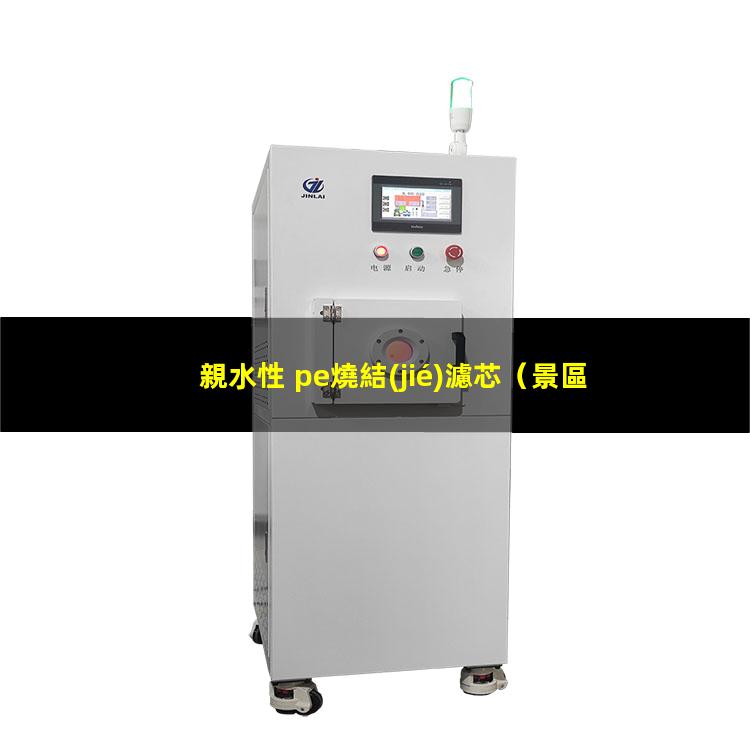親水性 pe燒結(jié)濾芯